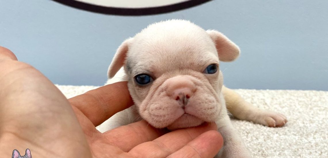 Photo 01-09-2020, 19 31 31 (1)